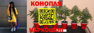 ALPHA PVP Волжск