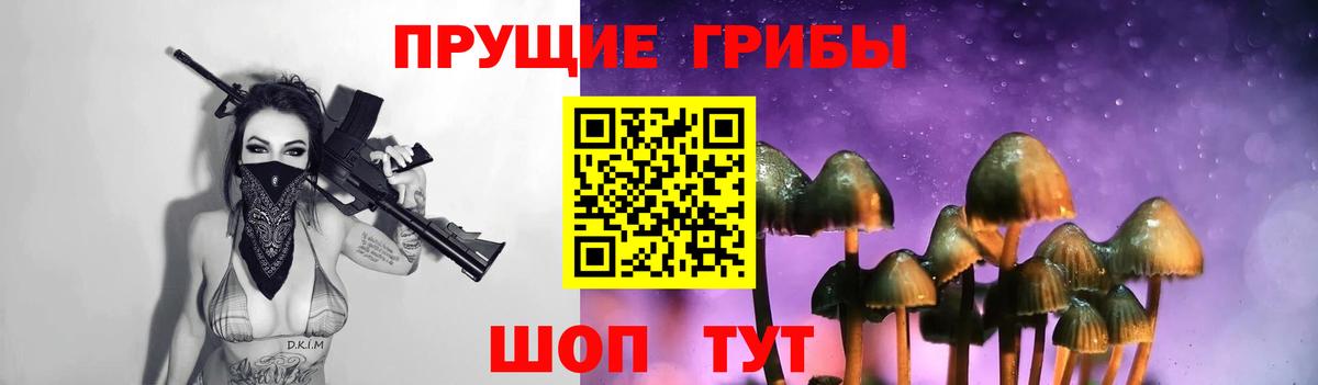 Ростов Великий  Галлюциногенные грибы GOLDEN TEACHER  Вход с VPN  Псилоцибиновые грибы прущие грибы 
